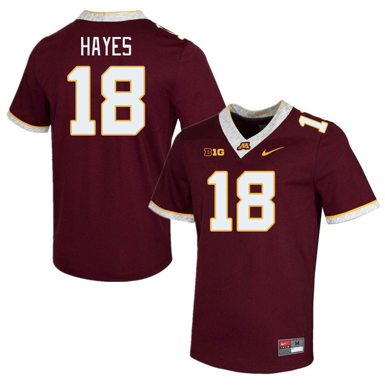 Men #18 Donielle Hayes Minnesota Golden Gophers College Football Jerseys Stitched-Maroon